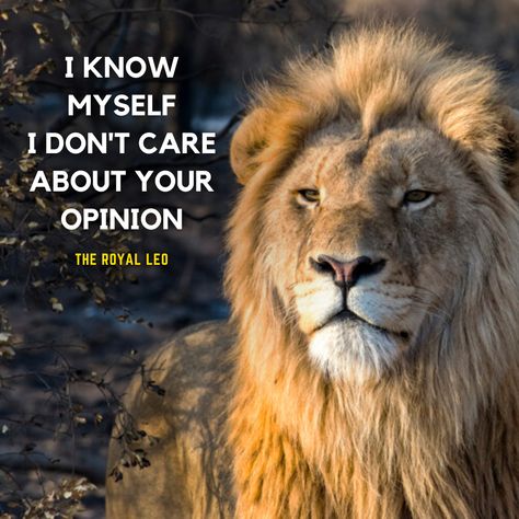 Off course More Leo Quotes on YouTube 👉 https://bit.ly/2T5cc7S #Leo #Lion #Lions #LeoFacts #LionQuotes #LeoZodiac #TheRoyalLeo #LeoQuotes #AttitudeQuotes #LeoAttitude #LionAttitude #LeoWoman #Leos #Leo♌ #LeoGang #LeoSeason♌ #LeoLife #LeoQueen #LionKing #Lioness Lion Quotes Inspiration Motivation, July Leo, Lioness Quotes, Lion Motivation, Motivational Signs, Emoticon Love, Reggae Art, Lion Live Wallpaper, Leo Zodiac Quotes