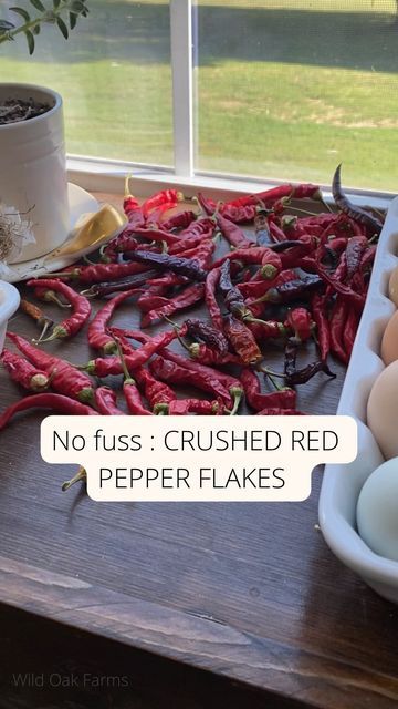 Mandi + Casey | Homestead | Small Farm. Big Impact on Instagram: "Crushed red pepper flakes/Cayenne peppers are quite possibly the easiest thing to preserve. When you harvest your cayenne peppers, simply place them in a sunny windowsill. You of course can dehydrate them, but for folks that don’t have a dehydrator and don’t want to run their oven all day in the summer- you can do this! We do this and we DO have dehydrators. Work smarter and not harder. Always. Once they get crispy from the Dehydrate Peppers, Garden Harvest, Crushed Red Pepper, Crushed Red Pepper Flakes, Small Farm, Cayenne Peppers, Work Smarter, Red Pepper Flakes, Red Pepper