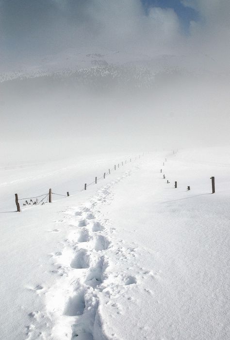 . Winters Tafereel, Winter Szenen, Winter's Tale, Winter Love, Winter Walk, Winter Magic, Winter Scenery, Winter Beauty, Snow Scenes