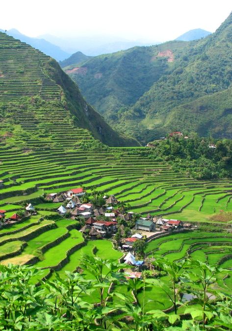 What to see in Batad, a marvel in the north of the Philippines #batad #philippines #visitbatad #manila #travel #traveltophilippines Scenery Beach, Philippines Travel Guide, Siargao Island, Siargao, Rice Fields, Rice Terraces, Adventure Vacation, Nature Life, Nature Scenery