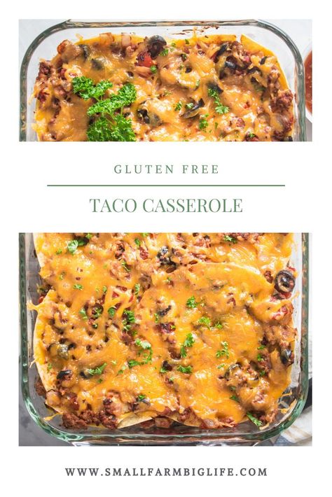 Gluten Free Taco Casserole, Gluten Free Taco, Cheesy Dinner, Gluten Free Casserole, Gluten Free Tacos, Healthy Casserole, Glutenfree Recipe, Taco Dinner, Gluten Free Main Dishes