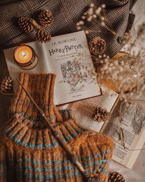 Reading Autumn Aesthetic, Autumn Aesthetic Harry Potter, Halloween Flatlay Photography, Fall Bookstagram Ideas, Hogwarts Autumn Aesthetic, Harry Potter Autumn Aesthetic, Fall Bookstagram, Harry Potter Autumn, Fall Book Aesthetic