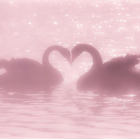 Pink Icon Aesthetic, Soft Spoken, My Tattoo, Tattoo Idea, Love Cute, Swans, About Love, Gold Plated Jewelry, We Heart It