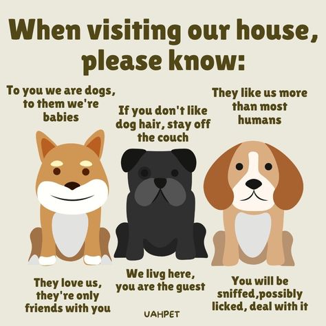 When you're at a dog-loving friend's house... Pet Party, Notes Ideas, Dog Information, Puppy Training Tips, Pet Sitting, Wild Life, Puppy Training, Animal Party, Dog Hair