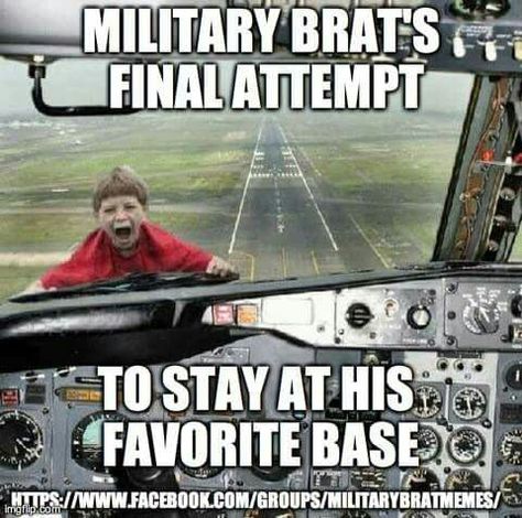 Military Brats Camping Trip With Friends, Bad Luck Brian, Pilot Humor, Pr Campaign, Funny Cute Memes, Very Demotivational, Military Brat, Funny Pilot, Army Brat