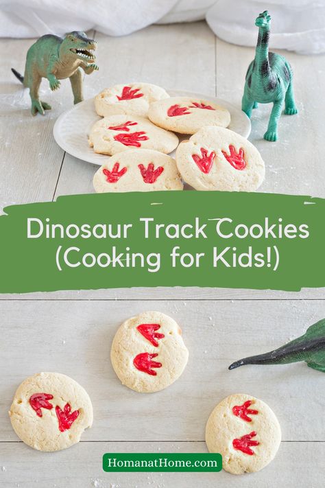 Diy Dinosaur Cookies, Dino Print Cookies, Dinosaur Print Cookies, Easy Dinosaur Cookies, Dinosaur Desserts, Dinosaur Baking, Dinosaur Sugar Cookies, Stamp Cookies Recipe, Easy Sugar Cookie Dough