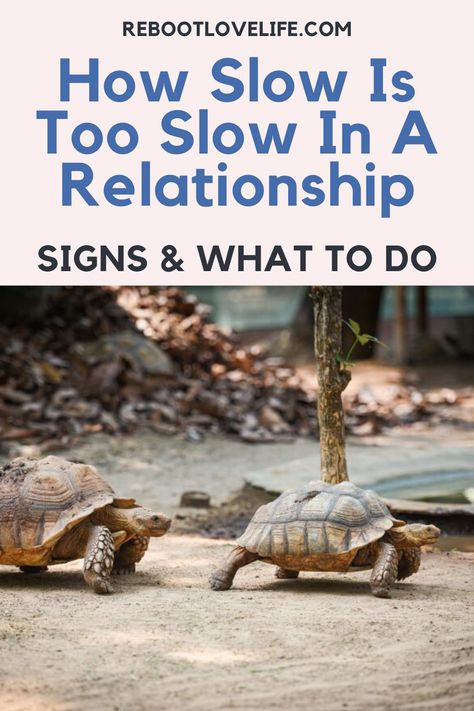 Dating Slow Relationships, How To Go Slow In A Relationship, Taking A Relationship Slow, Going Slow In A Relationship, How To Take Things Slow In A Relationship, How To Take A Relationship Slow, How To Slow Down A Relationship, How To Take It Slow In A Relationship, How To Take Things Slow Relationship