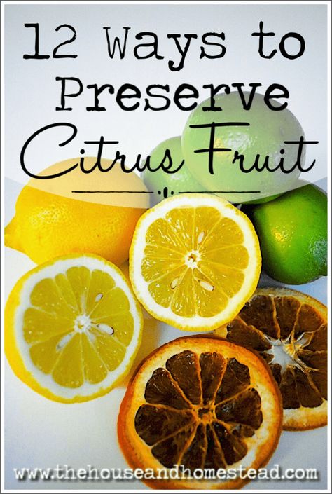 Storing Citrus Fruit, How To Preserve Limes, Beginner Homesteading, Preserve Vegetables, Homestead Hacks, Preserving Fruit, Citrus Recipes, Preserve Food, Canning Food Preservation