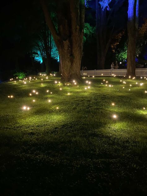 Firefly Wedding, Enchanted Forest Birthday Party, Garden Path Lighting, Enchanted Forest Birthday, Forest Birthday Party, Christmas Light Show, Dream Wedding Decorations, Wedding Planning Decor, Garden Planner