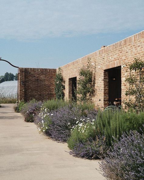 Soho Farmhouse (@sohofarmhouse) • Instagram photos and videos Walled Gardens, Flower Borders, Soho Farmhouse, Walled Garden, Garden Makeover, Farmhouse Garden, Landscape Architecture Design, Brick Facade, Soho House