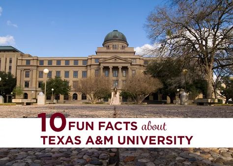 A&m College Station, College Apps, Education Major, Best Schools, Importance Of Time Management, Education Degree, Texas A M University, Its Time To Stop, Online Degree