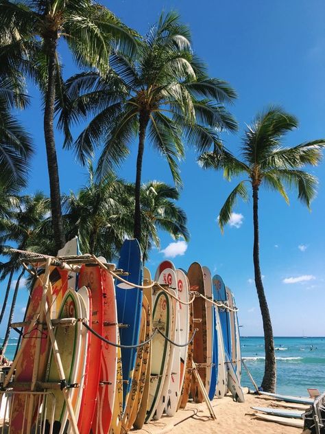 Waikiki Hotels, Surfing Aesthetic, Cool Finds, Surf Aesthetic, The Turtles, Summer Surf, Aloha Hawaii, Waikiki Beach, Swim Club