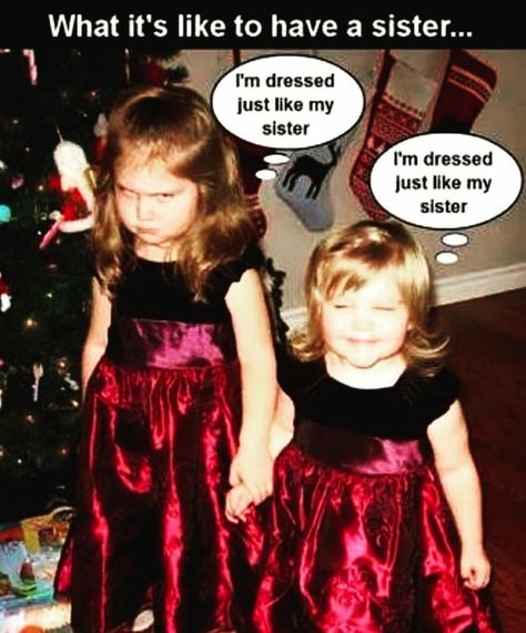 Funny Sister Memes, Sister Birthday Quotes Funny, Sister Meme, Siblings Funny Quotes, Sibling Memes, Sibling Quotes, Funny Sister, Sister Love Quotes, Siblings Funny