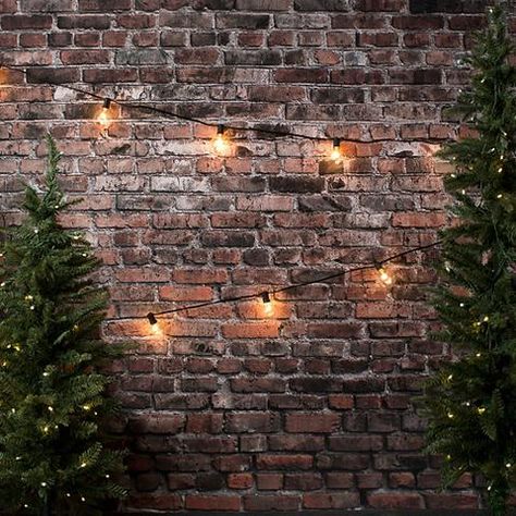 NEW! – Page 3 – r2backdrops Brick Backdrops, Christmas Props, Paper Backdrop, Christmas Backdrops, Christmas Photoshoot, Winter Themed, Wall Backdrops, Fire Retardant, Christmas Minis