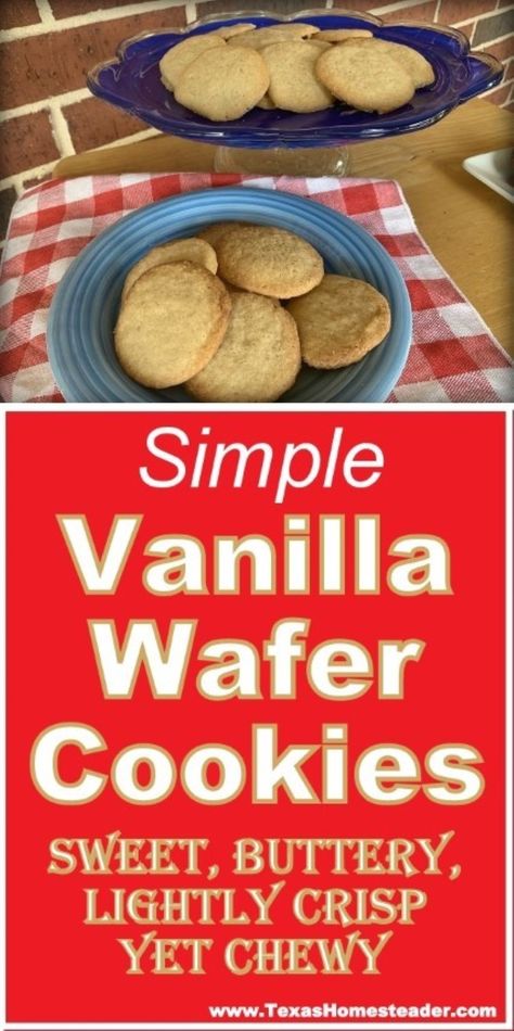 Easy Vanilla Wafer Cookie Recipe Uses Simple Ingredients & Bakes Up FAST! ~ Texas Homesteader ~ Vanilla Wafer Cookies Recipe, Vanilla Wafer Cookie Recipe, Vanilla Wafer Recipe Desserts, Homemade Vanilla Wafers Recipe, Vanilla Wafers Recipe, Monster Recipes, Wafer Cookie Recipe, Vanilla Wafer Recipe, Wafers Recipe