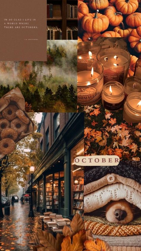 made by me :) October Wallpapers Iphone, Fall Aesthetic Witch, Im So Glad I Live In A World Of Octobers, Moody Fall Wallpaper, October Collage Wallpaper, October Screensaver, Fall Mood Aesthetic, Cute October Wallpaper, Fall Wallpaper October