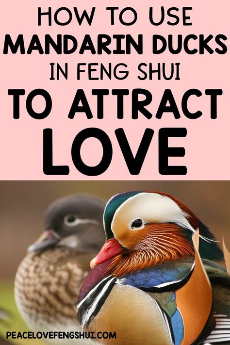 Feng Shui For Love, Feng Shui Love, Feng Shui Basics, Mandarin Ducks, Tea Labels, Feng Shui Bedroom, Duck Decor, Feng Shui Decor, Odd Couples