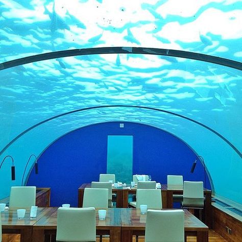 Eat in the Underwater Restaurant in the Maldives Underwater Hotel, Best Friend Bucket List, Kat Diy, Underwater Restaurant, Underwater House, Ultimate Bucket List, 100 Things To Do, Bucket List Ideas, Life List