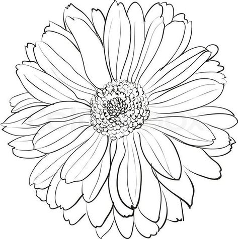 Chrysanthemum Flower Drawing, Crisantemo Tattoo, Chrysanthemum Drawing, October Birth Flowers, Aster Flower, Flower Line Drawings, Flower Outline, Flower Art Drawing, Simple Line Drawings