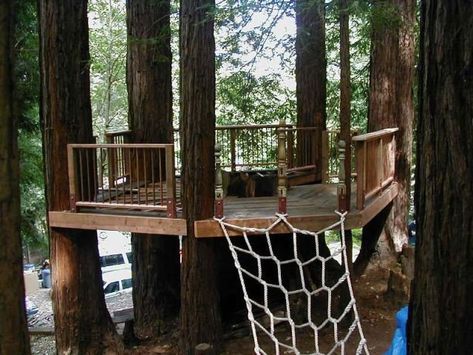 Gazebo Diy, Simple Tree House, Modern Tree House, Tree Deck, Building A Treehouse, Tree House Plans, Tree Fort, Tree House Diy, Tree House Kids