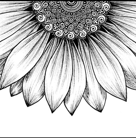 Mandala Sunflower, Doodle Art Letters, Bird Paintings On Canvas, Pen Art Work, Sunflower Drawing, Art Therapy Projects, Nature Art Drawings, Mandala Art Therapy, Cabin Art