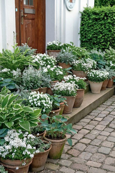 Tanaman Pot, Container Gardening Flowers, Moon Garden, Garden Containers, White Gardens, Rustic Garden Decor, Garden Cottage, Rustic Gardens, Small Gardens