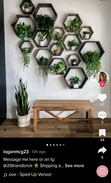 Office Wall Plants Ideas, Greenery Wall Kitchen, Plant Decor On Wall, Plant And Photo Wall, Plant And Art Wall, Wall Shelves With Plants, Propagating Plants Wall, Plants Against Wall, Plant Feature Wall