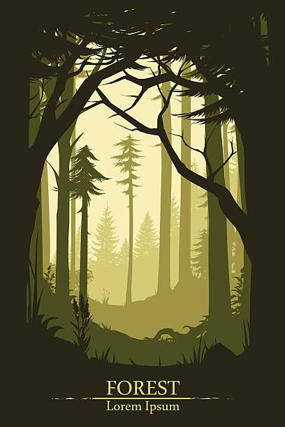 Illustration Forest, Forest Vector, Seni Mural, Forest Tattoo, Forest Gump, Johanna Basford Enchanted Forest, Forest Drawing, Forest Silhouette, Tattoos Mandala