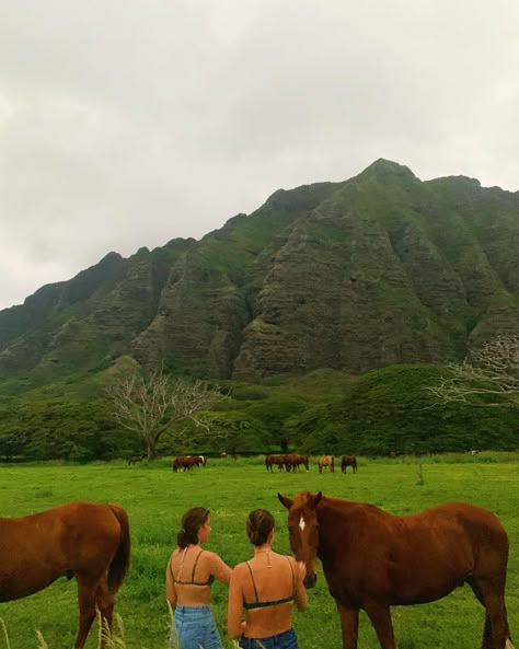 Tropical Fall Aesthetic, Native Hawaiian Aesthetic, Uh Manoa Aesthetic, Hawaii Poses, Hawaii Ranch, Tropical Vacation Aesthetic, Mallory Aesthetic, Hawaii Farm, Uh Manoa