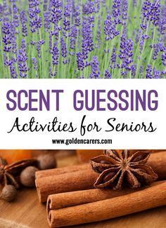 Activity For Seniors, Elderly Crafts, Assisted Living Activities, Memory Care Activities, Activities For Seniors, Senior Living Activities, Nursing Home Activities, Alzheimers Activities, Recreation Therapy