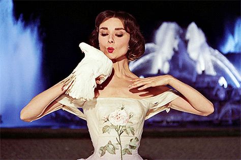 tumblr_np9v4igq0m1u61oh6o1_500.gif (500×333) Audrey Hepburn Funny Face, Funny Face Gif, Aubrey Hepburn, Funny Faces Quotes, Pantomime, Visual Branding, Movie Gifs, Funny Face, 1960s Fashion