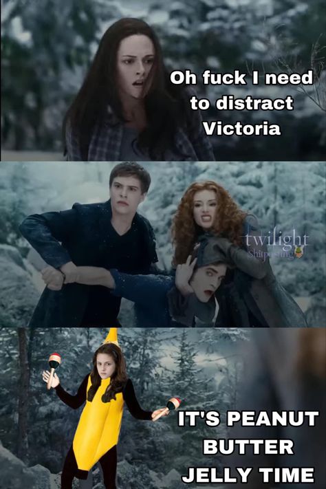 Twilight Funny Memes, Twilight Memes Hilarious, Funny Twilight Quotes, Twilight Memes Funny, Victoria Twilight, Twilight Meme, Funny Twilight, Twilight Videos, Twilight Jacob