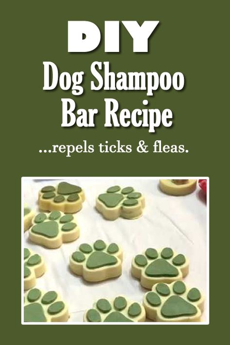 DIY Dog Shampoo Bar Diy Pet Product, Diy Dog Products, Diy Pet Shampoo, Dog Diy Stuff, Dog Shampoo Bar Recipe, How To Make Dog Shampoo, Dog Soap Bar Recipe, Dog Shampoo Bar Recipe Melt And Pour, Dog Soap Bar Recipe Melt And Pour