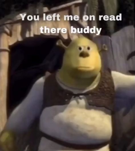 Shrek Reaction, Left Me On Read, Reaction Photo, Response Memes, Image Chat, Snapchat Funny, You Left Me, Funny Profile, Mood Humor