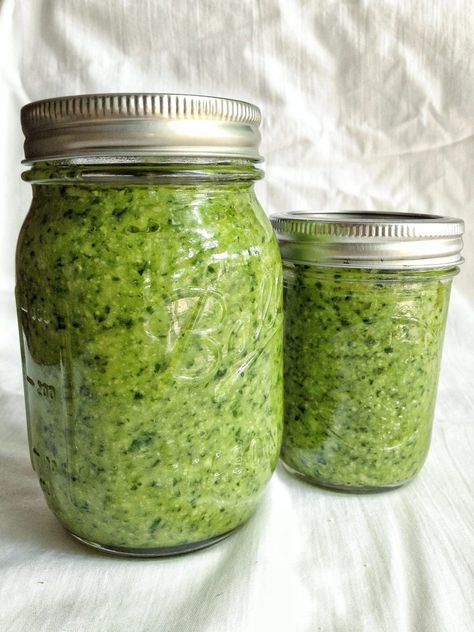 Fresh Basil Pesto, Pesto Sauce Recipe, Homemade Pesto Recipe, Basil Pesto Sauce, Sauce Pesto, Basil Pesto Recipes, Olive Oil Garlic, Basil Recipes, Nut Recipes