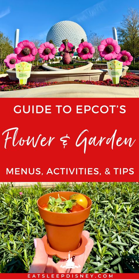 The EPCOT International Flower and Garden Festival is returning to Walt Disney World in 2024!   Like other EPCOT festivals, the highlight is the outdoor kitchens all around World Showcase serving up eats and drinks you can only get for a limited time, but there’s so much more to keep you busy between bites. So, we’re bringing you a complete guide to everything you can see, do, and EAT this year.  Disney World, Disney Parks, EPCOT, Eat Sleep Disney Flower And Garden Festival Epcot 2024, Epcot Flower And Garden Festival Outfit, Disney Cruise Vacation, Disney Blog, Disney World Epcot, Disney Epcot, Disney Addict, Disney World Tips And Tricks, Disney Theme Parks