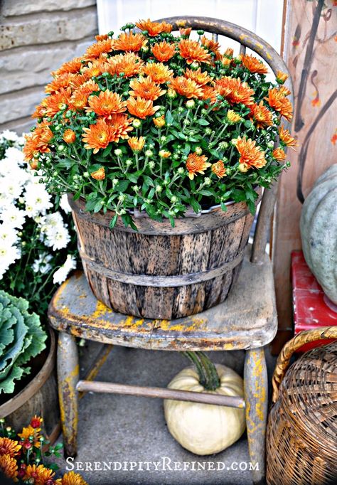 Colour Emotion, Harvest Porches, Outside Fall Decor, Bushel Baskets, Primitive Fall, Fall Country, Fall Deco, Autumn Decorating, Old Chair