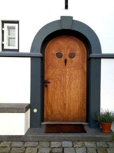 Owl Door, Tulip Chair, Wooden Owl, Design Fails, Main Door Design, Number 0, Strange Photos, Indian Homes, Number 9