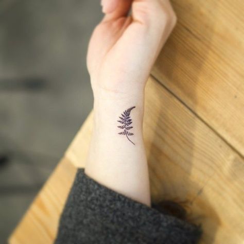 realistic fern tattoo - Google Search                                                                                                                                                                                 More New Zealand Tattoo, Fern Tattoo, Polynesian Tattoos, Marquesan Tattoos, Irezumi Tattoos, Shoulder Tattoos, Cute Small Tattoos, Small Tattoos For Guys, Girly Tattoos