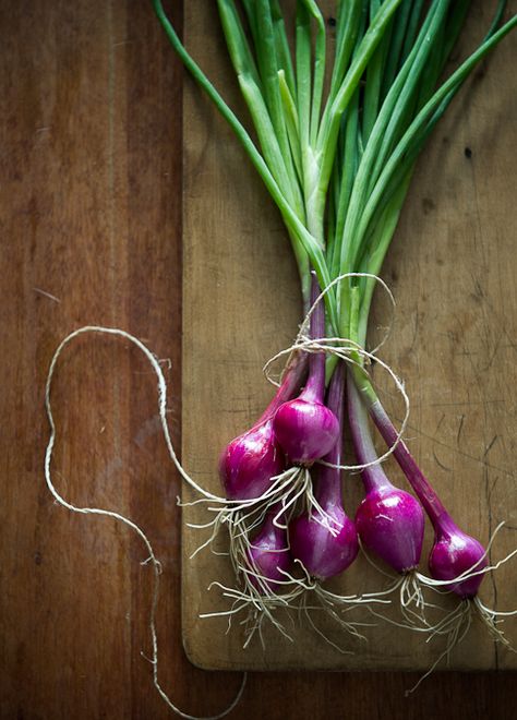 Onions Dark Food, Vegetables Photography, Purple Food, Los Angeles Food, Fruit Photography, Fruit And Veg, Photographing Food, Malbec, Fresh Vegetables