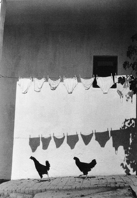 Bruno Bourel Laundry Hanging, Lee Mathews, Vintage Foto's, Clothes Hanging, Shadow Photography, Black And White Photograph, Shadow Play, Photo B, Foto Vintage