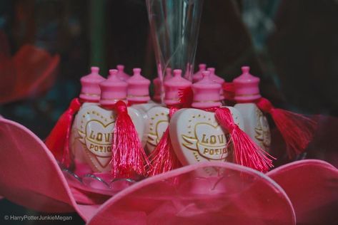 Harry Potter Wall Collage, Pink Harry Potter, Victor Krum, Hogwarts Script, Universal Harry Potter Orlando, Harry Potter Love Potion, Universal Photos, Love Potion Bottle, Capital L