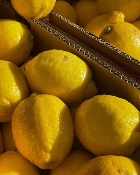 LOL (lots of lemons)🍋 #newarrivals #lemons #summer #summervibes Lemon Sicily, Lemons Aesthetic, Lemon Italy, Lemon Aesthetic, Macro Food Photography, Aesthetic Fruit, Fruit Aesthetic, Sicilian Lemon, Fruit Photography