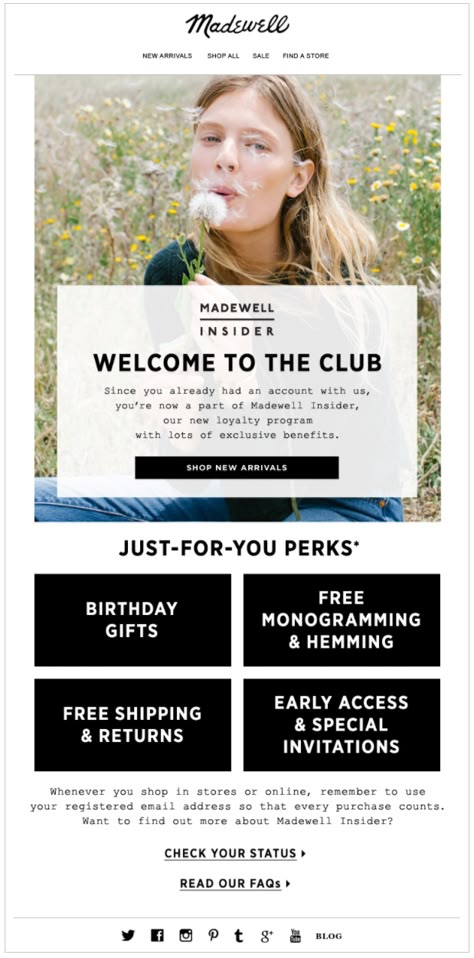 Madewell Membership email. Welcome to the club (!) Loyalty Program Ideas, Loyalty Program Design, Loyalty Marketing, Health Marketing, Membership Website, Email Layout, Email Marketing Inspiration, Mailer Design, Email Marketing Design Inspiration