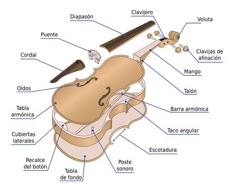 VIOLIN.  Instrumento de arco con cuatro cuerdas, miembro soprano de la familia de los violines. Surge durante la primera mitad del siglo XVI. Violin Basics, Teaching Orchestra, Violin Pics, Cello Photography, Violin Teaching, Violin Family, Violin Making, Violin Practice, Violin Instrument