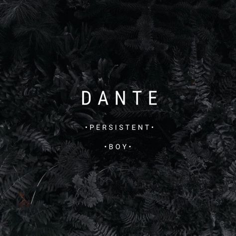 Dante Name Meaning, Literary Names, Male Names, Mystical Names, Fantasy Character Names, Best Character Names, Fantasy Names, Aesthetic Names