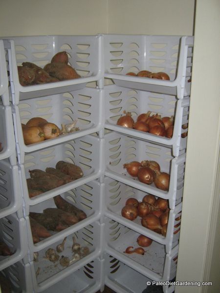 Root Cellar Storage, Root Cellars, School Gardens, Storing Vegetables, Root Cellar, Vegetable Storage, Recycled Garden, Square Foot Gardening, Cold Storage