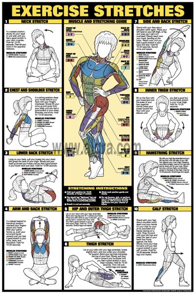 Exercise Stretches Poster | by Bruce Algra Workout Stretches, Relaxation Yoga, Yoga Relaxation, Motivație Fitness, Bedtime Yoga, Yoga Stretching, Exercises For Women, Workout Posters, Yoga Iyengar