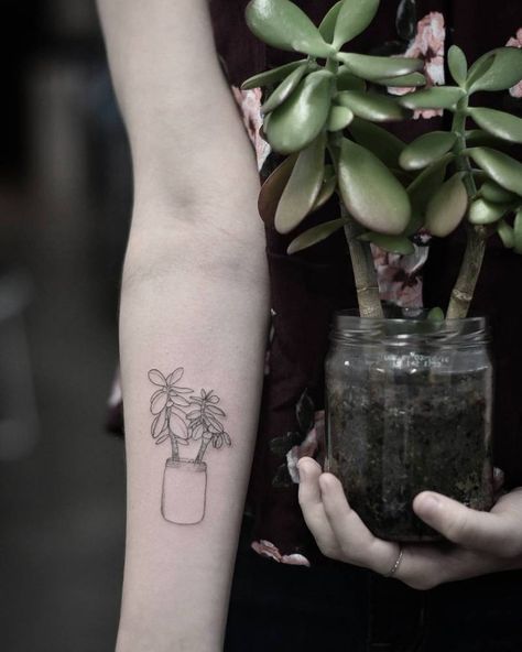 Jade plant tattoo on the inner forearm. Jade Tattoo Plant, Jade Plant Tattoo Ideas, Indoor Plant Tattoo Sleeve, Jade Flower Tattoo, Wrist Plant Tattoo, Jade Tattoo Ideas, Jade Plant Tattoo, Cornwall Tattoo, Potted Plant Tattoo