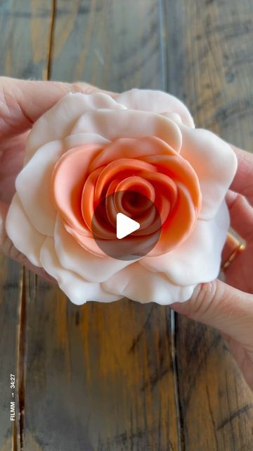 Sugarbird Cakery & Floral Co. - Cheryl Stager on Instagram: "Beginner fondant/gumpaste roses! These are SO easy to make and perfect if you’re just starting out making sugar flowers. I recommend using gumpaste if you want them to set really firm (I only had fondant when I made this one lol). All of these colours were made using Georgia Peach from @chefmaster. Start with a darker colour in the middle and work your way out to a lighter colour for a gorgeous ombré look 🌺. . . . #sugarbirdcakeryfloral #fondant #fondantcake #fondantart #fondantartist #fondantdesign #easydecorating #beginnerfondant #cakedecorating #cakeart #cakedesign #cakestagram #cakesofinstagram #fondanttutorial #caketoppers #cupcaketoppers #cupcaketoppers #sugarflowers #fondantflowers #gumpasteflowers #easyfondant" Simple Fondant Cake, Gumpaste Roses, Wafer Paper Flowers, Flowers Tutorial, Gum Paste Flowers, Fondant Tutorial, Easy Cake Decorating, Fondant Flowers, Edible Cake